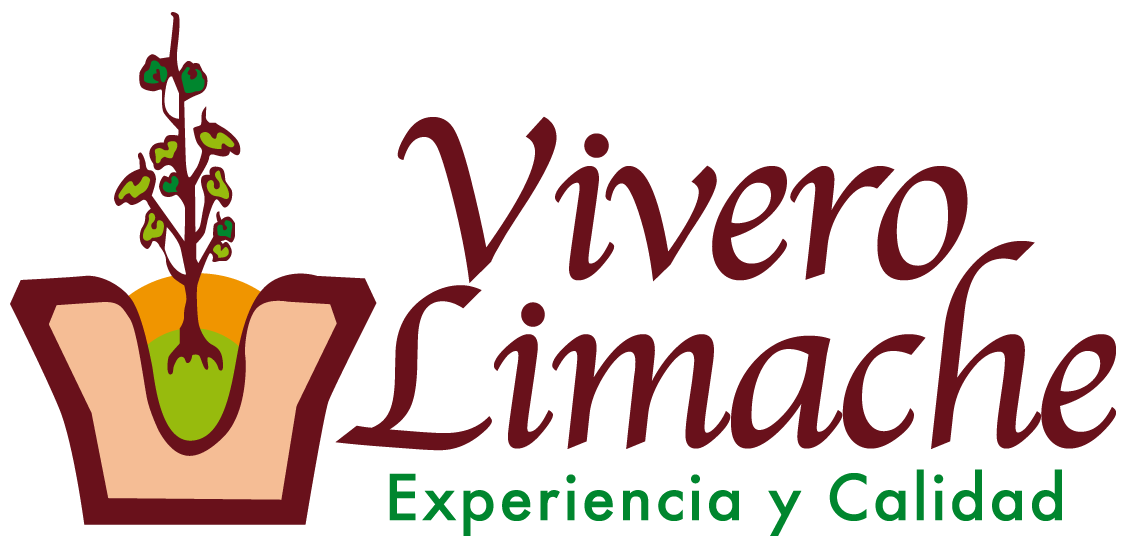 Vivero Limache